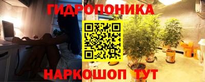 прущий лед Можга