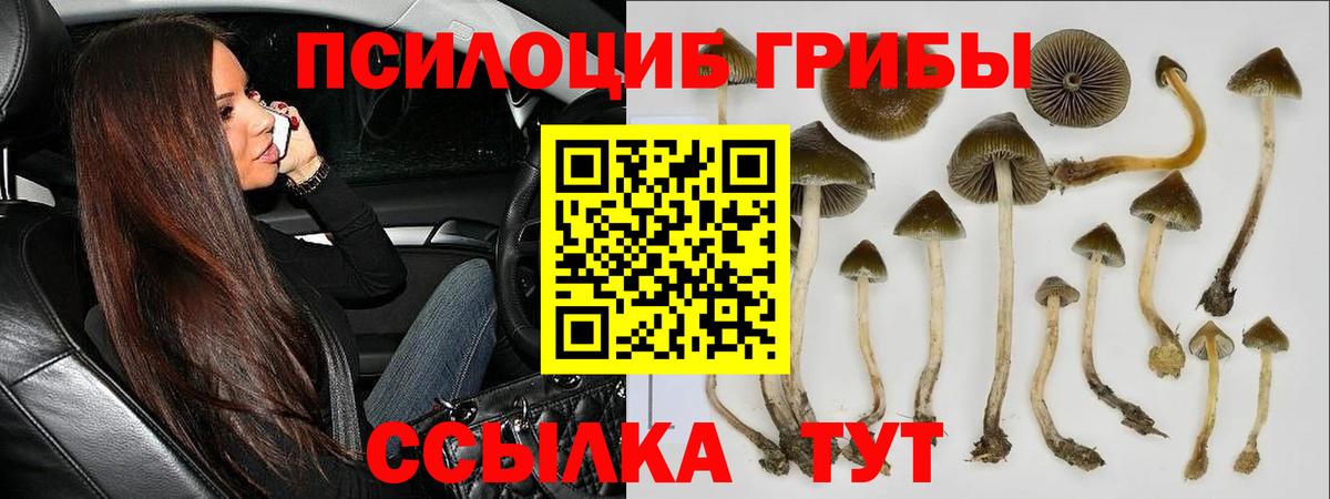 Псилоцибиновые грибы прущие грибы  Вход с VPN  Юрга 